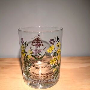 vintage Webb & Bower Ltd Herb Plant Rock Glass Tumbler  John A Brown